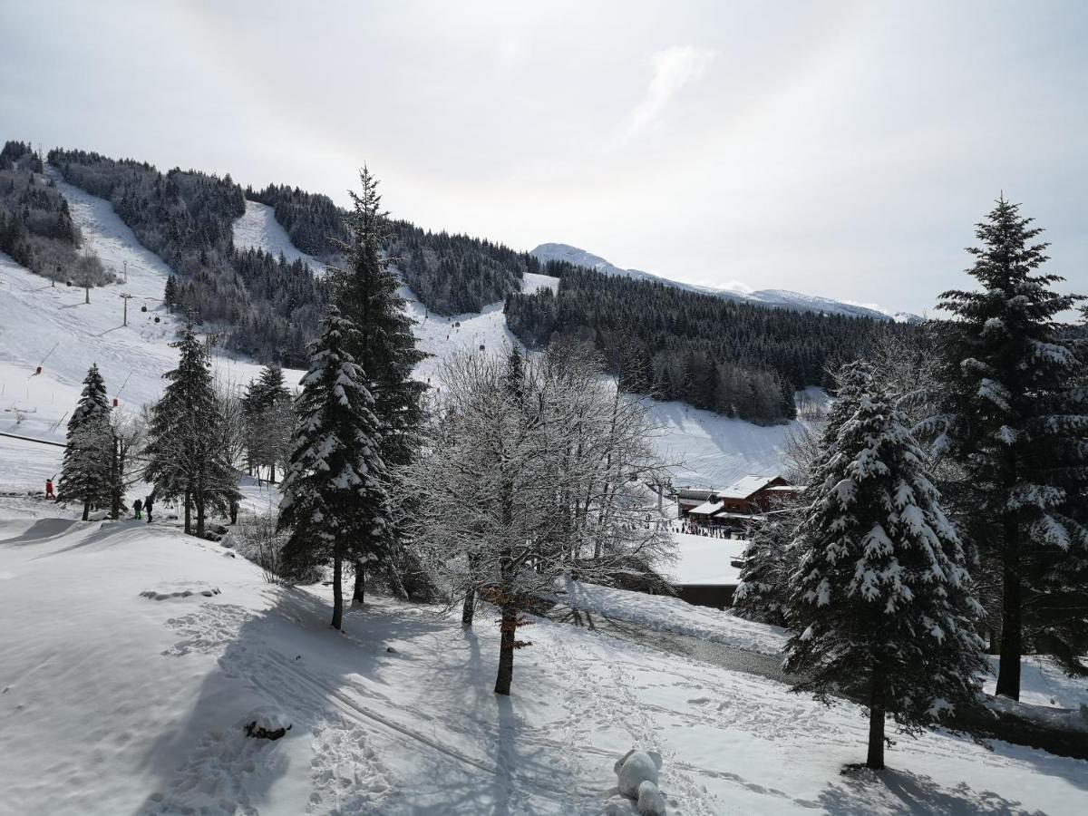 Le Balcon De Villard エクステリア 写真